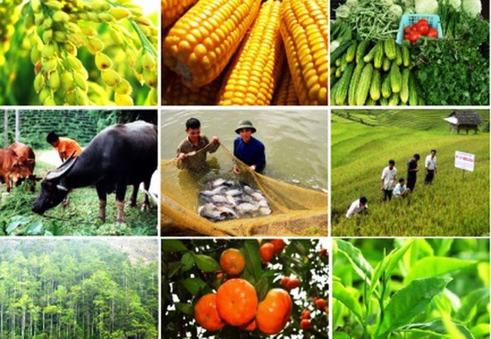 Giá hàng hóa thiết yếu tháng 03 năm 2024